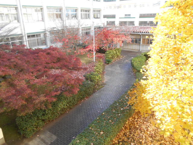 DSCN3894.JPG