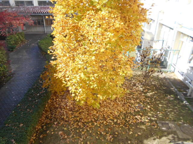 DSCN3895.JPG