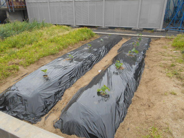 DSCN4722.JPG