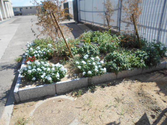DSCN5509.JPG