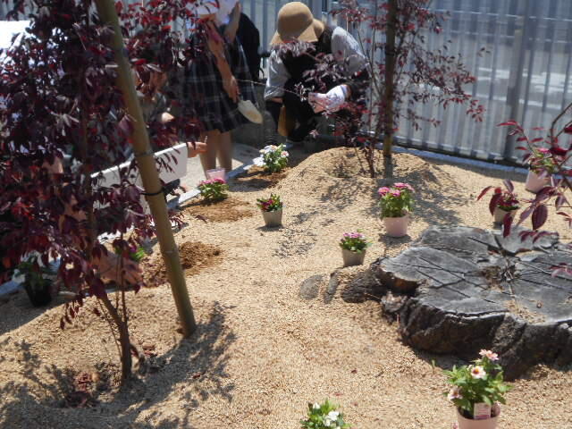 DSCN5071.JPG