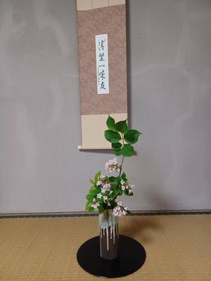 🍀新入部員がやってきたー🍀