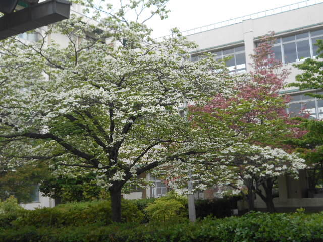 DSCN4731.JPG