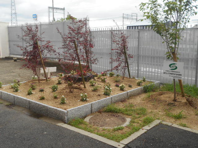 DSCN5187.JPG