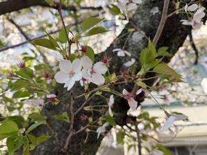IMG_3067.jpeg