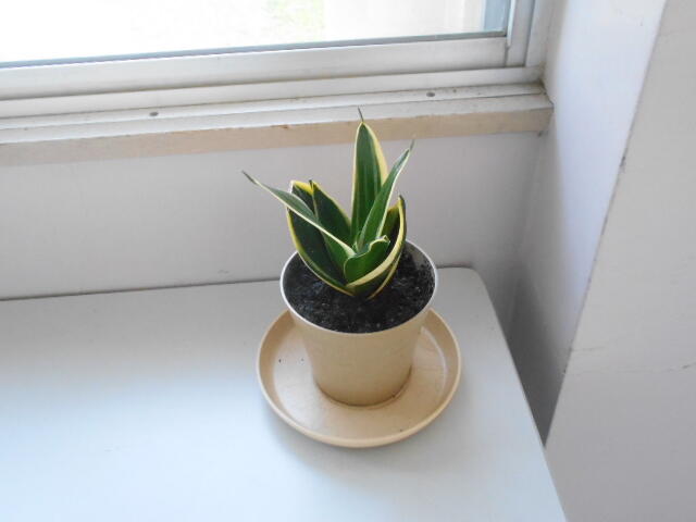 DSCN0613.JPG