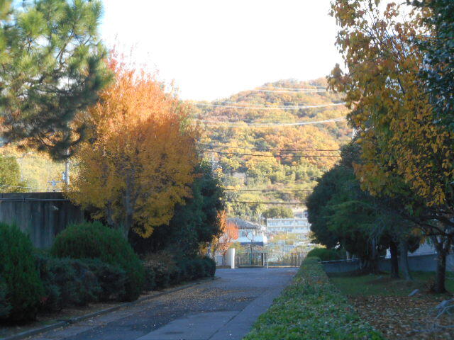 DSCN3890.JPG