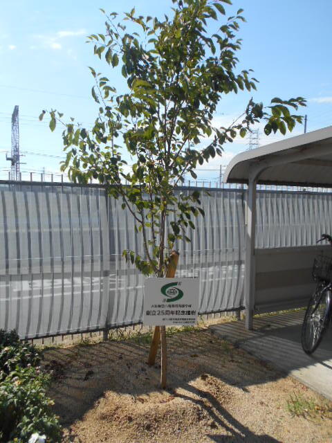 DSCN5508.JPG