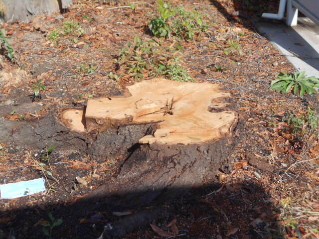 DSCN3875.JPG