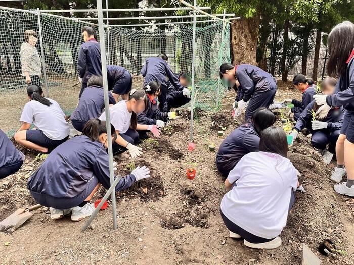 2年選択科目 保育基礎 実習の様子