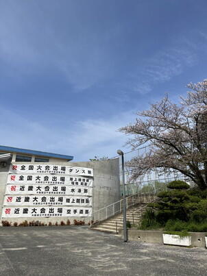桜満開