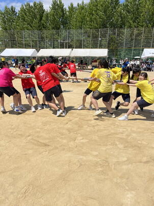 体育祭を開催しました