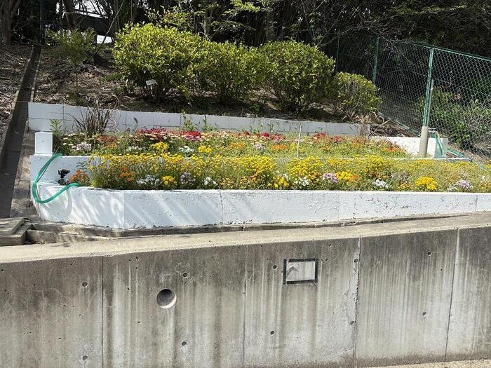 PTA緑化活動