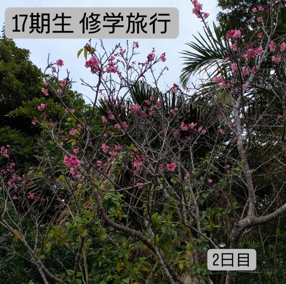 17期生 修学旅行 2日目