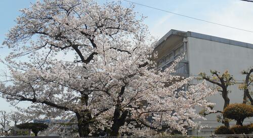 入学おめでとう！～第67期生 入学式～