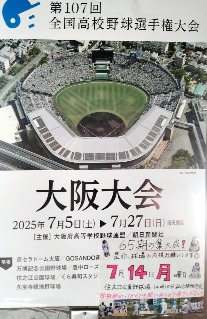 白球に想いをのせて! 野球部 夏の大会