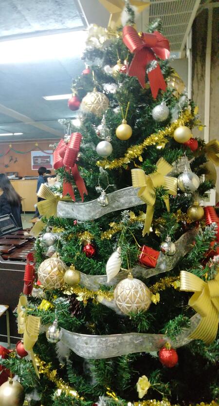サンタも登場 !? 音楽室がクリスマスに.....
