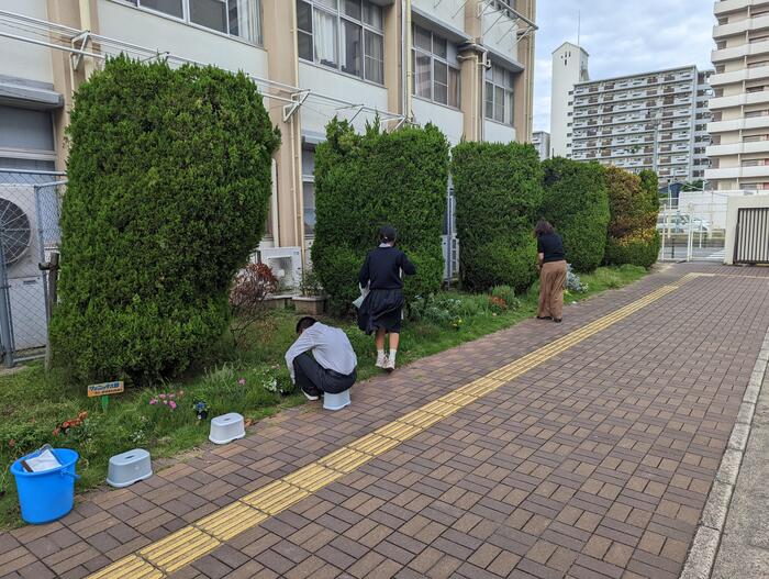 【部活】フェニックス部〜おもてなし〜