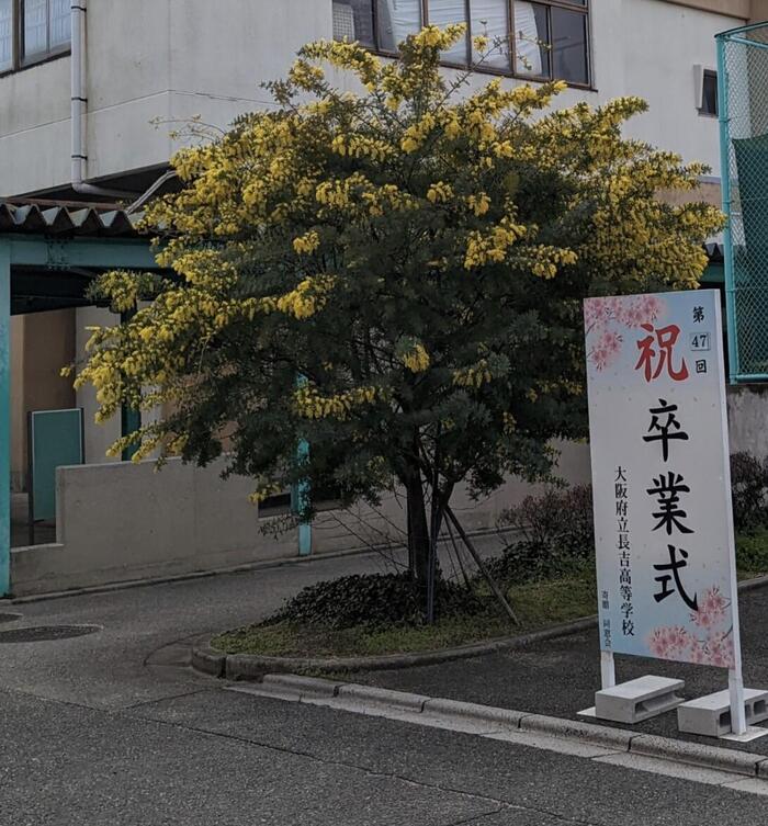 【魅力】長吉高校その55〜卒業までの日々〜