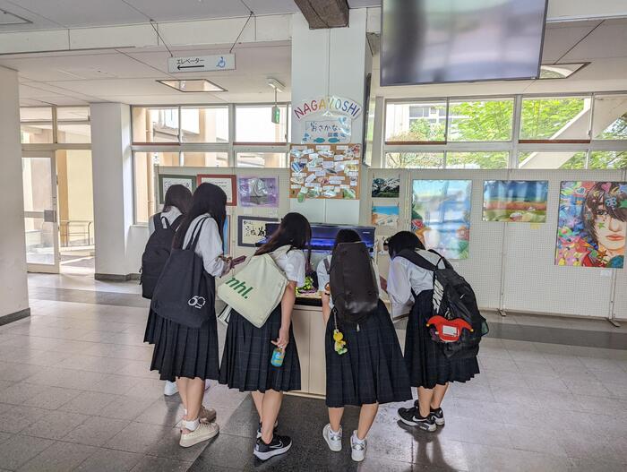 【水槽】癒しの空間〜夏を充実してください〜