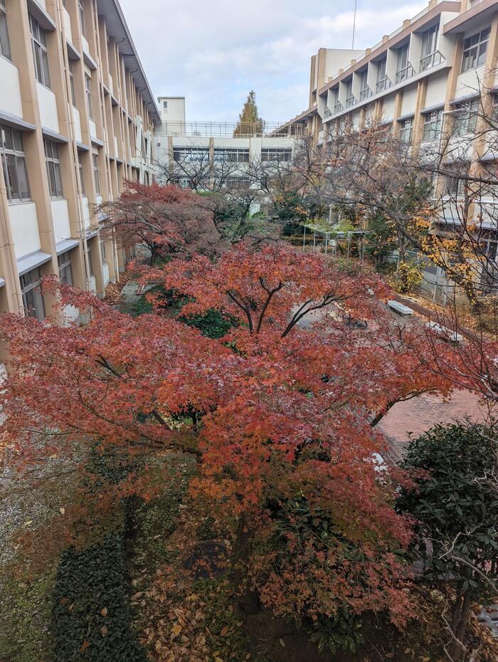 【魅力】長吉高校その２〜四季折々自然豊かな中庭〜