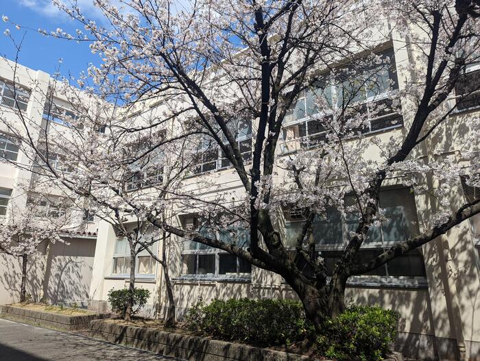 【近隣】中学校入学式〜制服に身を包み〜