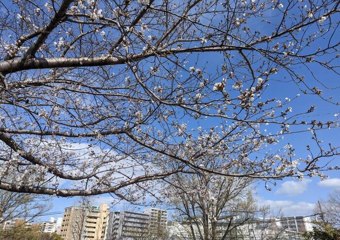【魅力】長吉高校その39〜相談しやすい雰囲気を作る〜