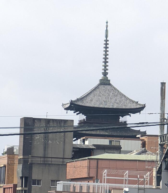 【再訪】京都へ〜他府県との交流〜