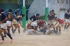 IMG_5932.jpeg
