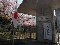 050403b.jpg