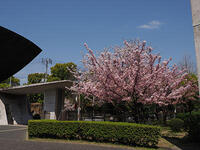 050403a.jpg