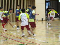 IMG_2861-thumb-680xauto-656925.jpg