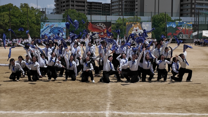 青団新団.PNG