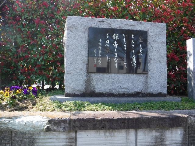 DSCF1495.jpg