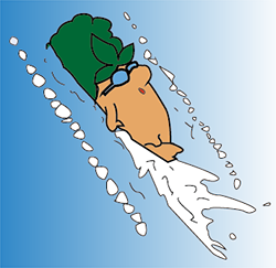 10藤本水泳.png