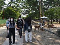 P6250041.JPG