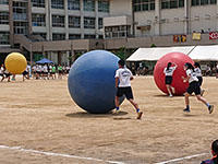 DSC_1224.JPG