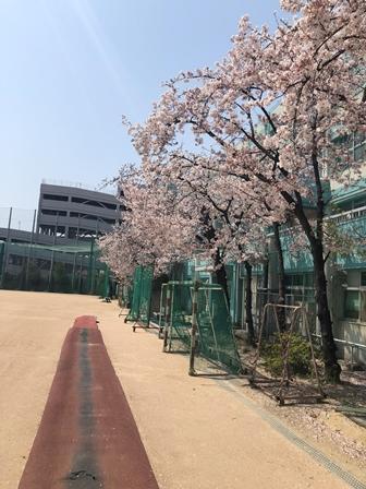 rikujo03.jpg