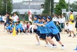 gakkouseikatu_img_t02.jpg