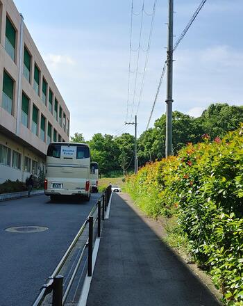 IMG01071_HDR.jpg