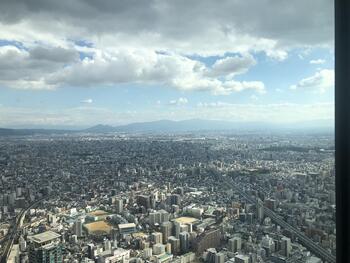 IMG_6871.jpeg