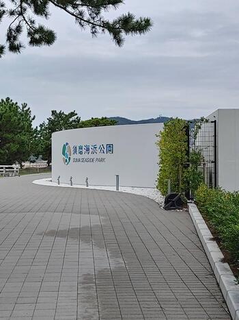 IMG_6779 (1).jpeg