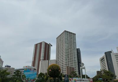 1716351783684.jpg