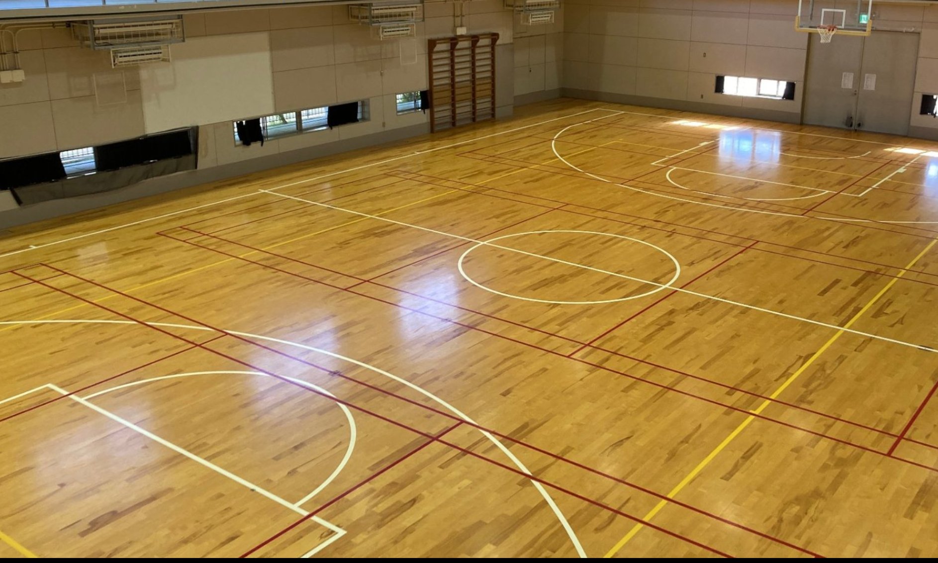 大阪 府立 守口 支援 学校