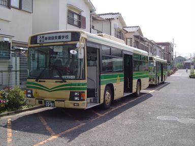bus5.jpg