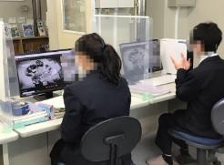 c1-4.jpg