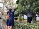 茨高の自然１５_正門前.jpg