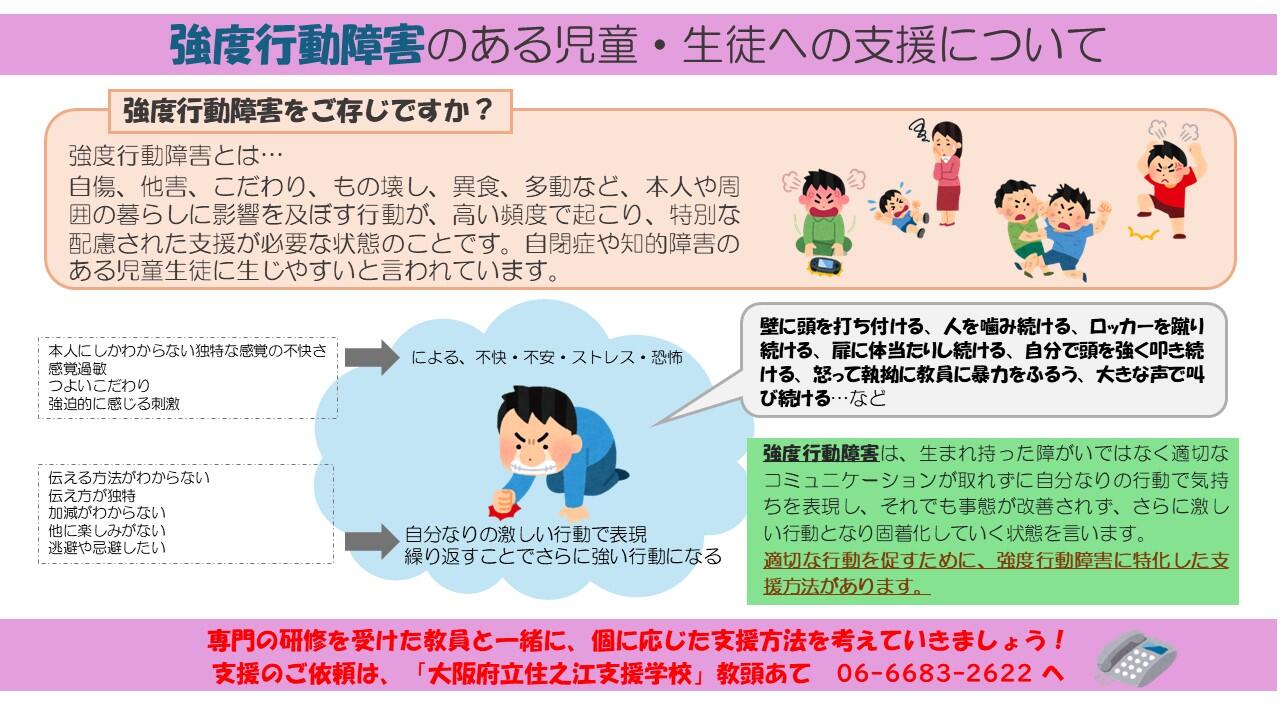 強度行動障害HPパンフ.jpg