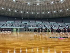 IMG_0146.jpeg
