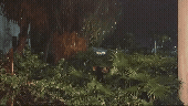 Adobe Express - VID20251113214707 (1).gif